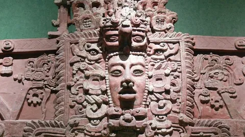 “西海岸风云：邵佳一黄金拍档，深情投资人引关注！”